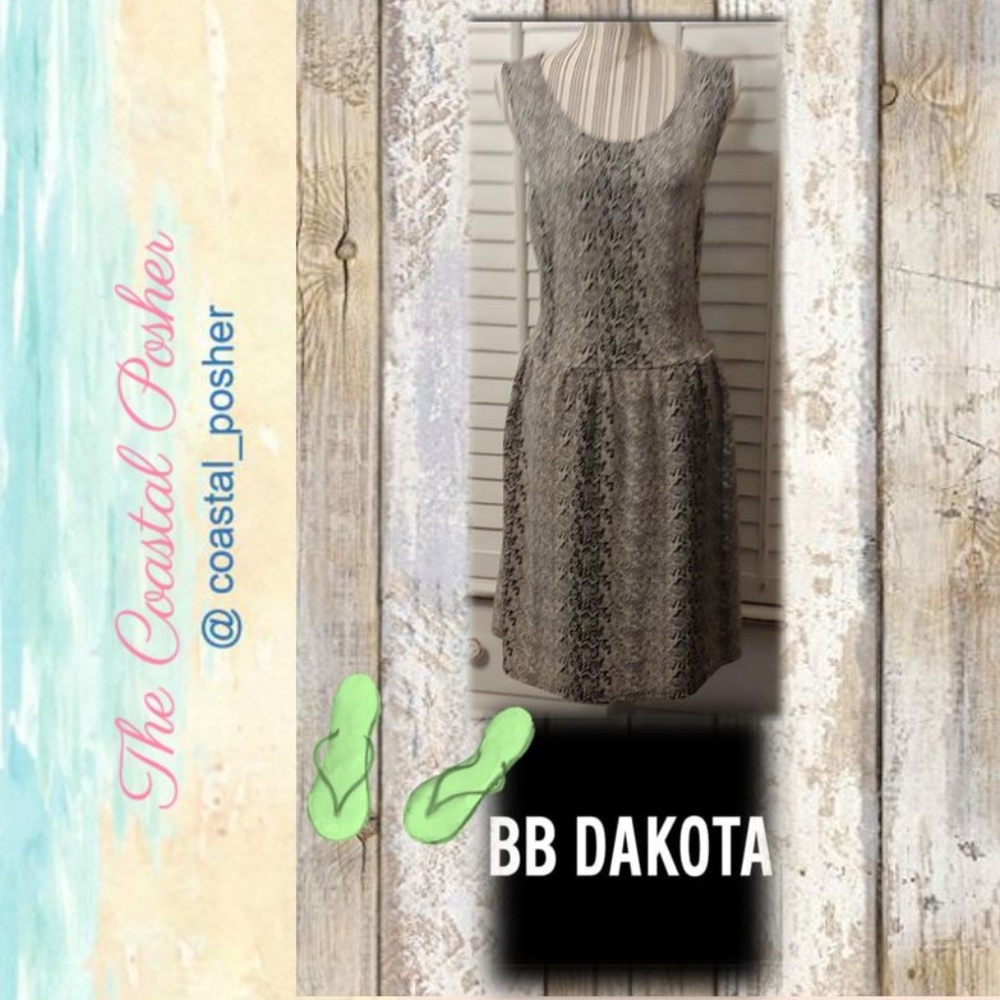 Snake Print Skater Dress